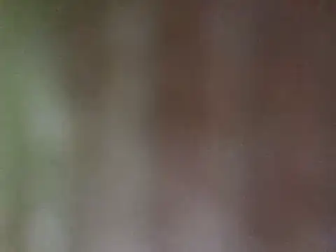 Snapshot of misu09 chatting on February 2025 03:04:02 PM misu09 online show from February 2025 03:04:02 PM