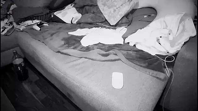 Snapshot of swissMen_DE chatting on February 2025 03:29:01 AM swissMen DE online show from February 2025 03:29:01 AM