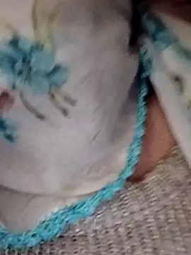 Snapshot of _BaHaR_ chatting on September 2025 08:16:02 AM BaHaR online show from September 2025 08:16:02 AM