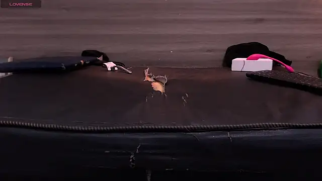 Cutie Shy  online show from January 2025 01:44:01 AM