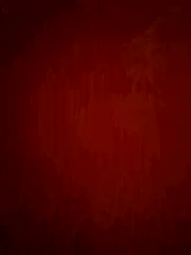 phnz online show from February 2026 12:54:01 PM