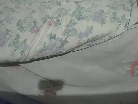 Tiger202441 online show from December 2024 10:32:02 PM