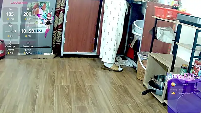 Love making online show from February 2025 01:52:02 PM