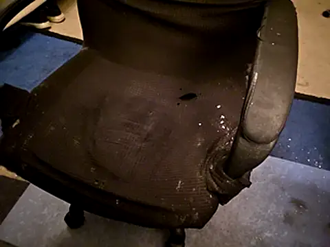 Migaruo online show from April 2026 04:56:01 AM