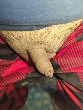 publicsir online show from April 2026 06:22:01 PM