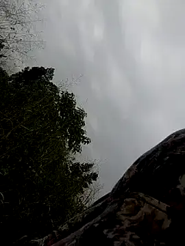 Snapshot of Sherry_she chatting on February 2025 06:58:02 AM Sherry she online show from February 2025 06:58:02 AM