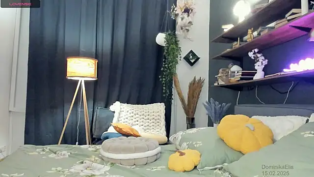 DominikaElis online show from February 2025 08:11:02 PM