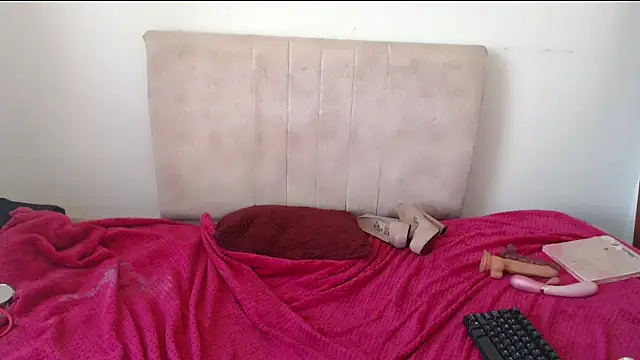 gatitaa777 online show from February 2026 04:39:02 PM