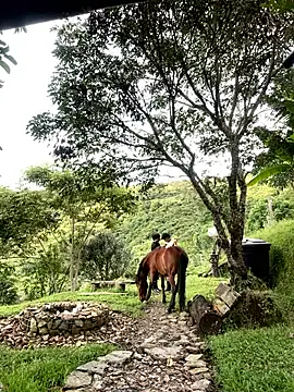 FlpGmz online show from April 2026 10:18:01 PM