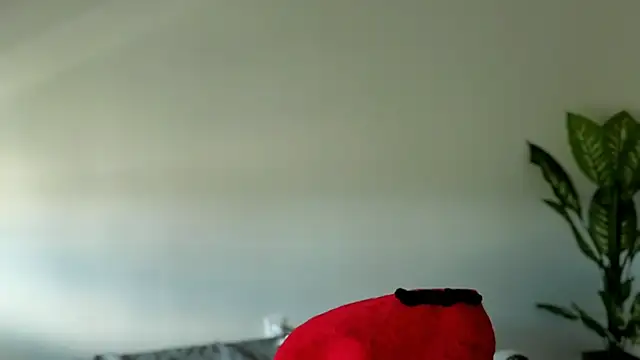 Sapphir3xoxo online show from September 2025 03:15:01 PM