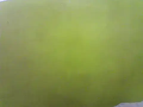 Claris2 online show from January 2025 06:34:02 PM