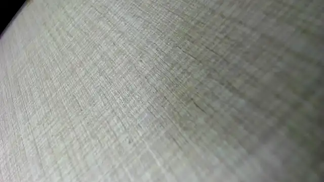 AishaRouhi online show from November 2025 05:07:02 AM