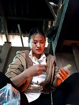 trieungoclnt online show from December 2024 04:04:02 AM