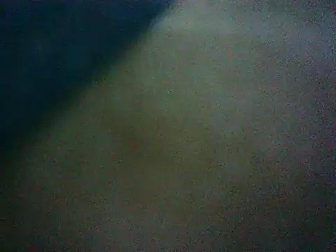 mumbi91 online show from January 2025 04:38:02 AM