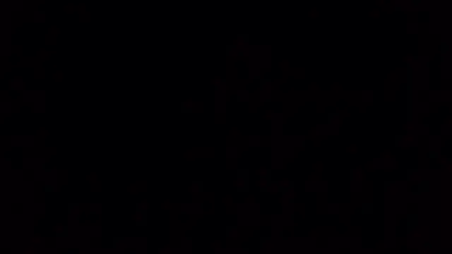 Ken-boy  online show from October 2025 11:43:01 AM