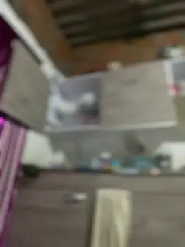 Emiily lee online show from January 2025 09:35:02 AM