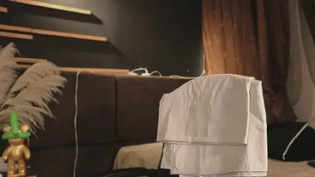 Logan Varela online show from January 2025 04:27:01 AM