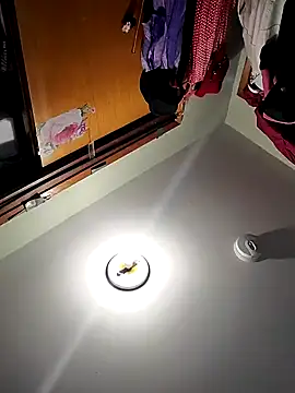 gurlnips online show from February 2025 12:09:01 AM