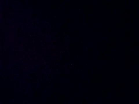 gurlnips online show from February 2026 01:14:02 PM