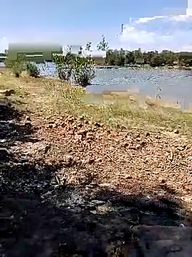 Snapshot of BaseDick chatting on September 2025 10:07:02 AM BaseDick online show from September 2025 10:07:02 AM