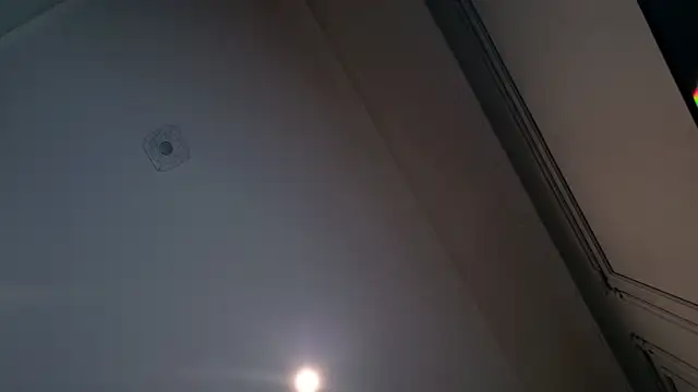 Liv Fay online show from December 2024 02:10:01 PM