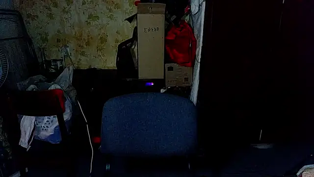 HilmarZ online show from January 2025 04:30:01 PM