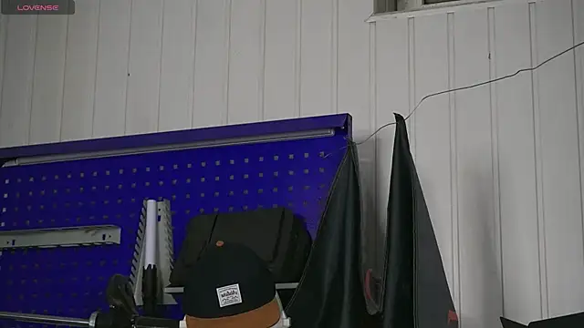 dustyn fox online show from November 2025 03:36:01 PM