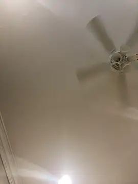 ThicBunz online show from February 2025 01:29:01 PM