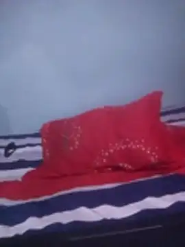 Snapshot of DigCrok chatting on October 2025 10:09:02 PM DigCrok online show from October 2025 10:09:02 PM