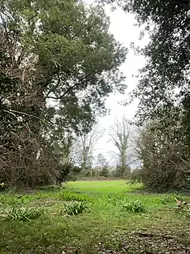 Alicia Hot1 online show from February 2025 02:05:02 PM