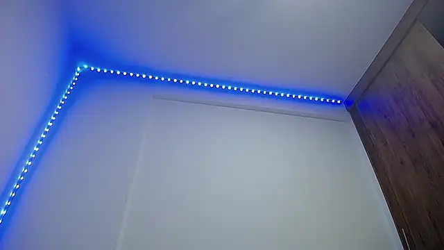 Snapshot of GerardSmitt chatting on November 2025 03:07:01 AM GerardSmitt online show from November 2025 03:07:01 AM