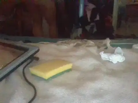 biuv online show from February 2025 12:59:02 PM