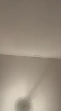 petan33 online show from December 2024 07:41:02 PM