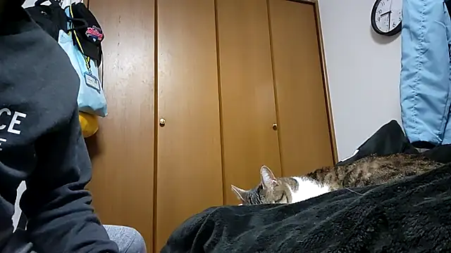 07YUKIO online show from April 2026 12:35:02 PM