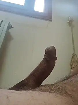 hbo54 online show from March 2026 03:28:01 PM