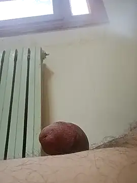 hbo54 online show from March 2026 07:03:01 AM