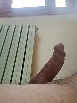 hbo54 online show from March 2026 08:26:33 AM