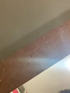 smithrosinha online show from September 2025 05:24:02 PM