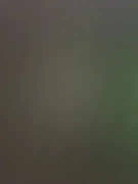 Snapshot of palomamoraid chatting on December 2024 11:26:02 PM palomamoraid online show from December 2024 11:26:02 PM