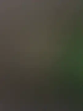 Snapshot of palomamoraid chatting on December 2024 01:50:02 PM palomamoraid online show from December 2024 01:50:02 PM