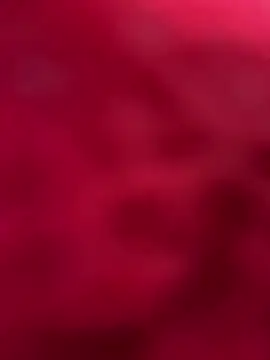 Snapshot of palomamoraid chatting on March 2025 10:50:02 PM palomamoraid online show from March 2025 10:50:02 PM