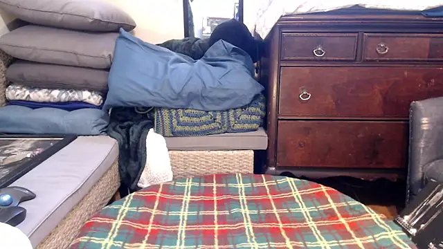 Snapshot of ladyscarlotta chatting on February 2025 09:36:01 PM ladyscarlotta online show from February 2025 09:36:01 PM