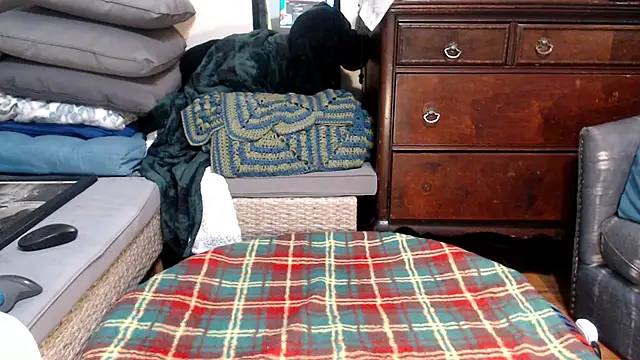 Snapshot of ladyscarlotta chatting on February 2025 04:04:01 AM ladyscarlotta online show from February 2025 04:04:01 AM