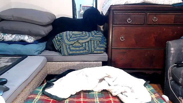 Snapshot of ladyscarlotta chatting on February 2025 04:50:02 PM ladyscarlotta online show from February 2025 04:50:02 PM