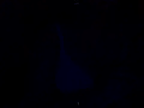 sanam rose online show from January 2025 12:03:01 PM