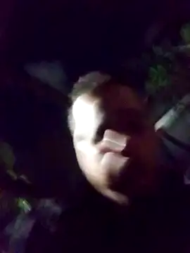 mis312 online show from February 2025 04:04:01 AM