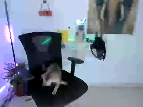 nairobbits online show from October 2025 01:09:01 PM