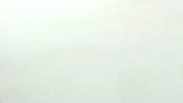 sinay024 online show from February 2026 08:03:02 AM