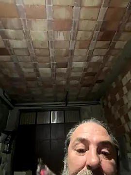 ros217 online show from November 2025 09:26:02 PM