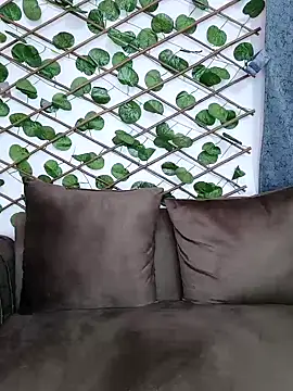 Bold-Cat online show from December 2024 11:07:01 PM